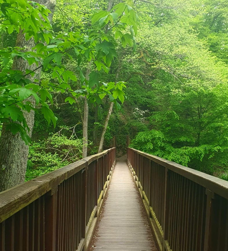 Foto von einer Holzbrücke